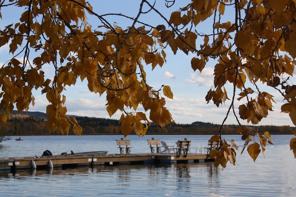 Robert'S Roost Rv Park Resort Quesnel Zewnętrze zdjęcie