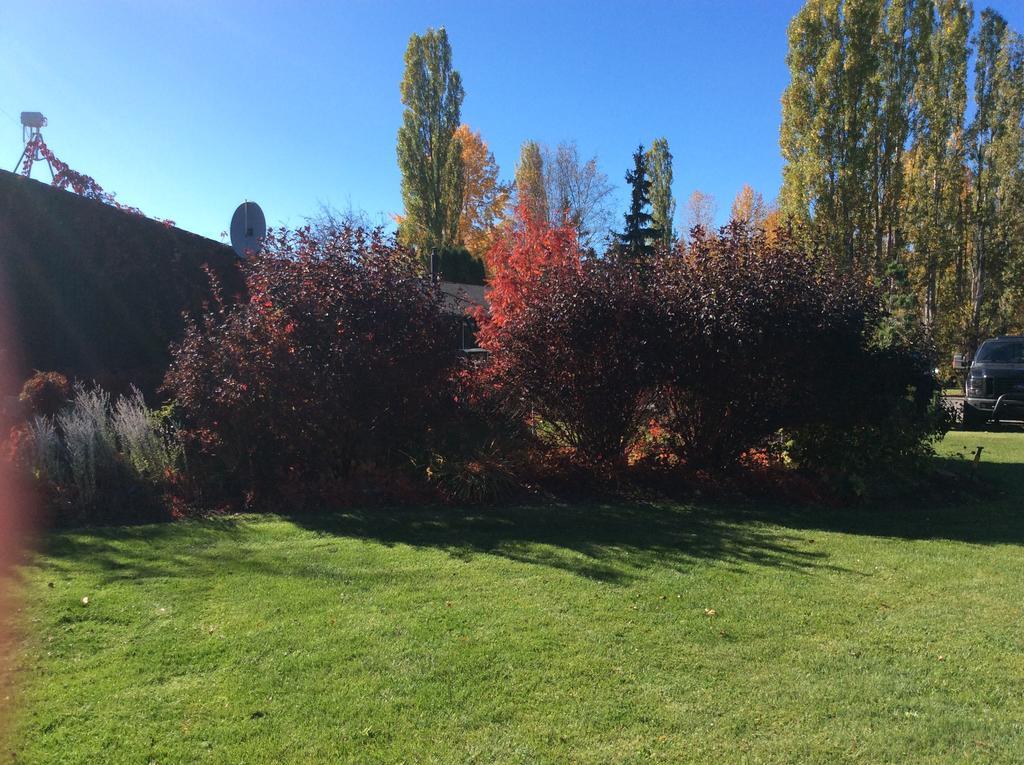 Robert'S Roost Rv Park Resort Quesnel Zewnętrze zdjęcie