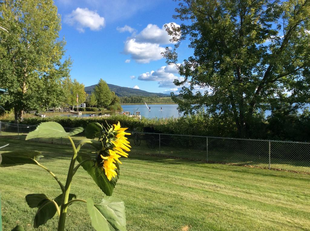 Robert'S Roost Rv Park Resort Quesnel Zewnętrze zdjęcie