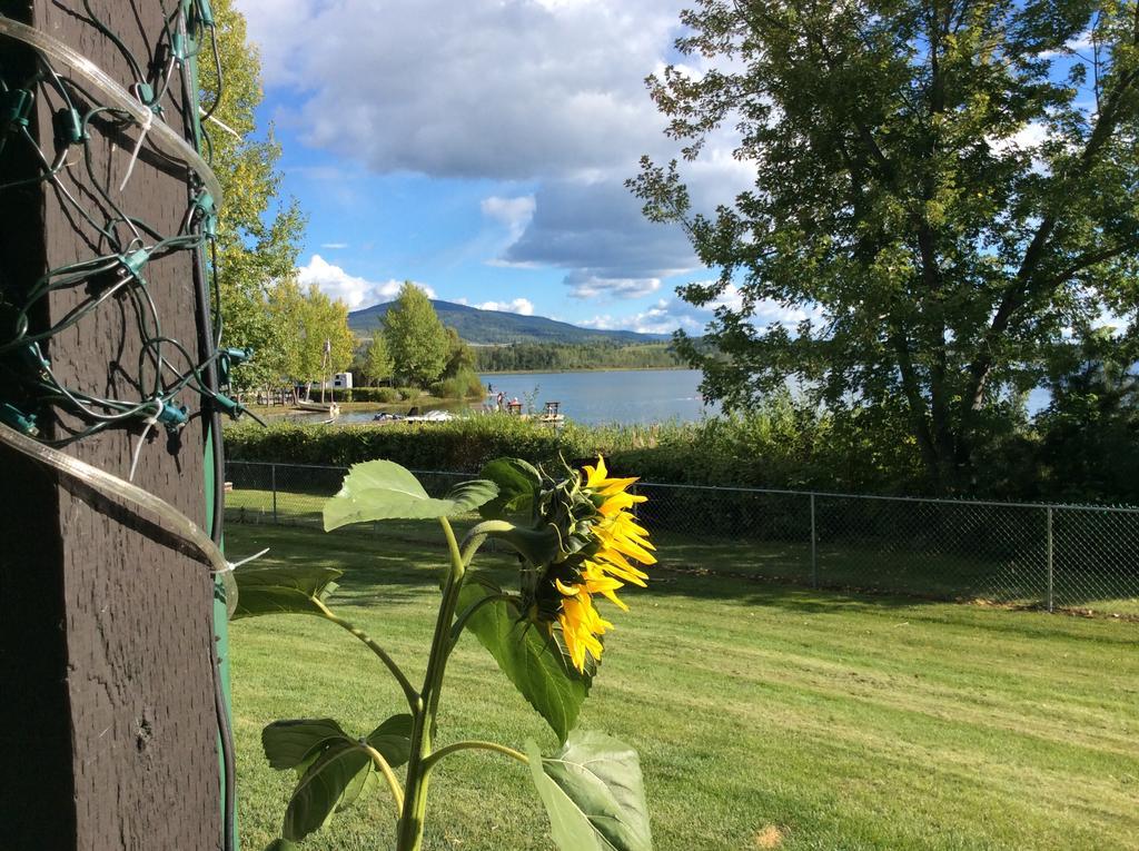 Robert'S Roost Rv Park Resort Quesnel Zewnętrze zdjęcie