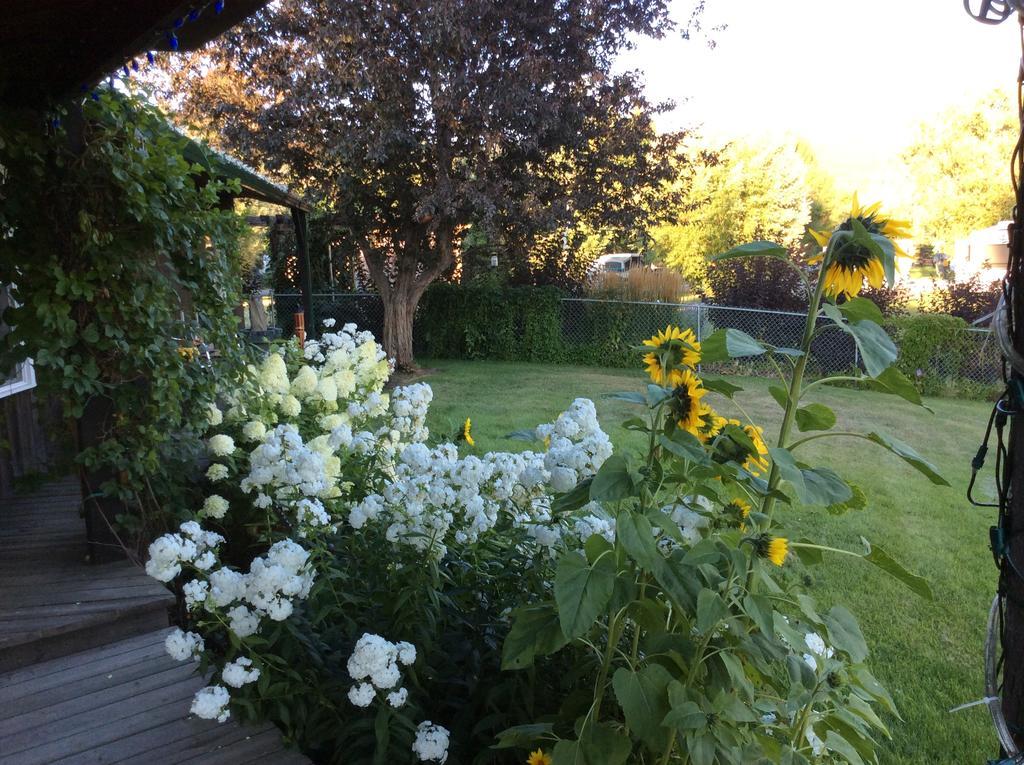 Robert'S Roost Rv Park Resort Quesnel Zewnętrze zdjęcie